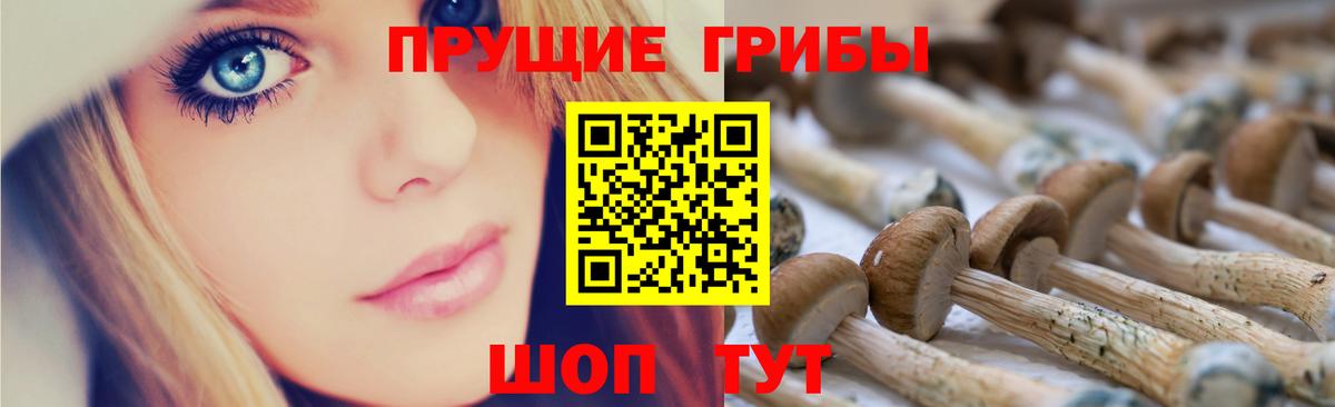Галлюциногенные грибы прущие грибы  Вход с VPN  Галлюциногенные грибы Psilocybe  Ливны 