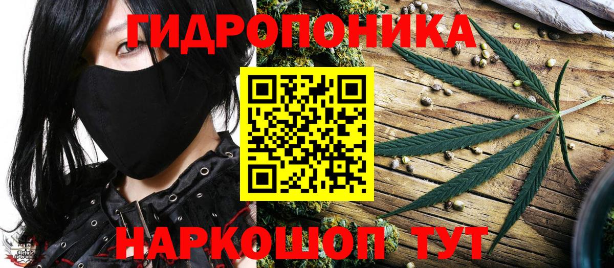 Бошки марихуана AK-47  Вход с VPN  Бошки марихуана семена  Каннабис гибрид  Ливны 